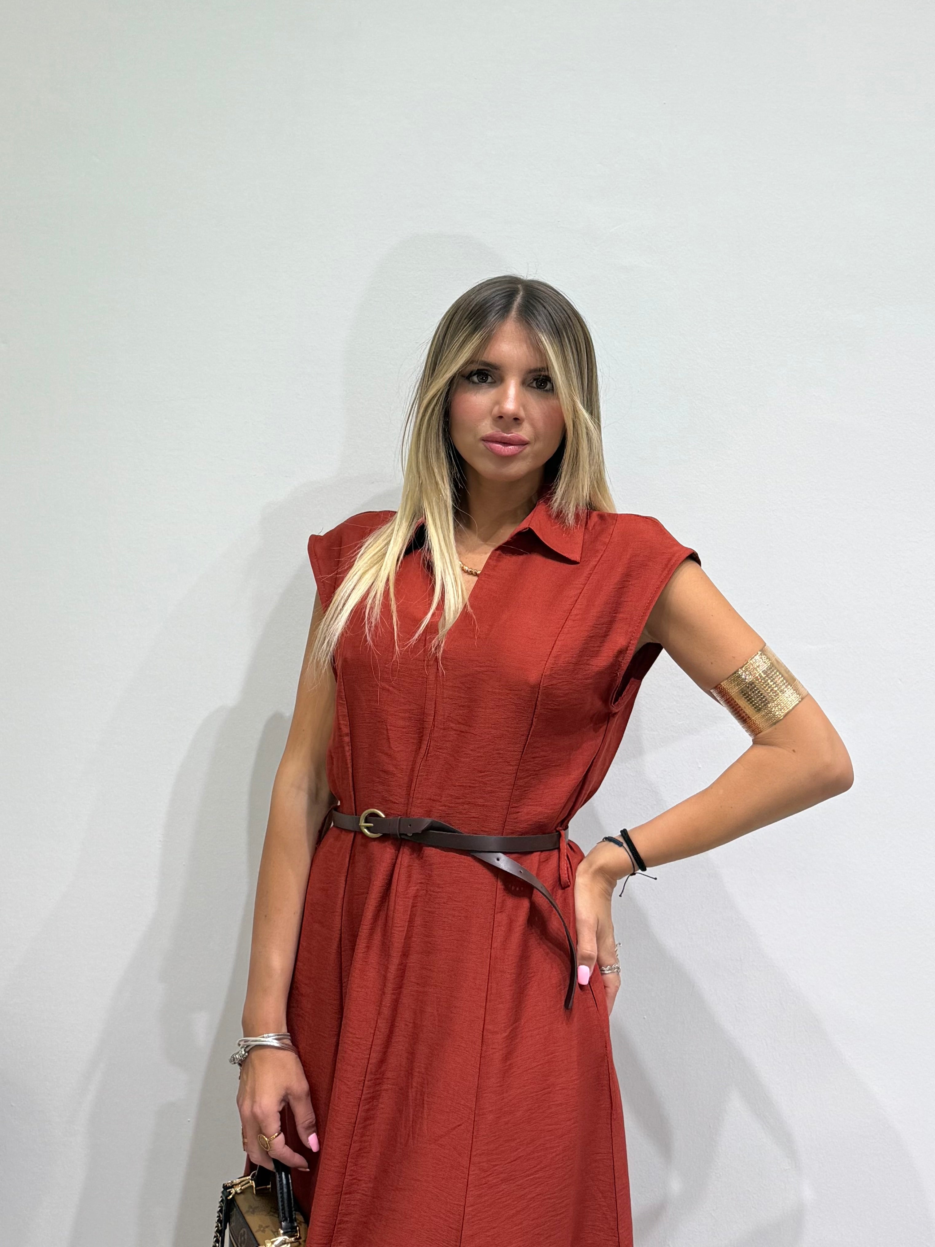 Dress Chemisier