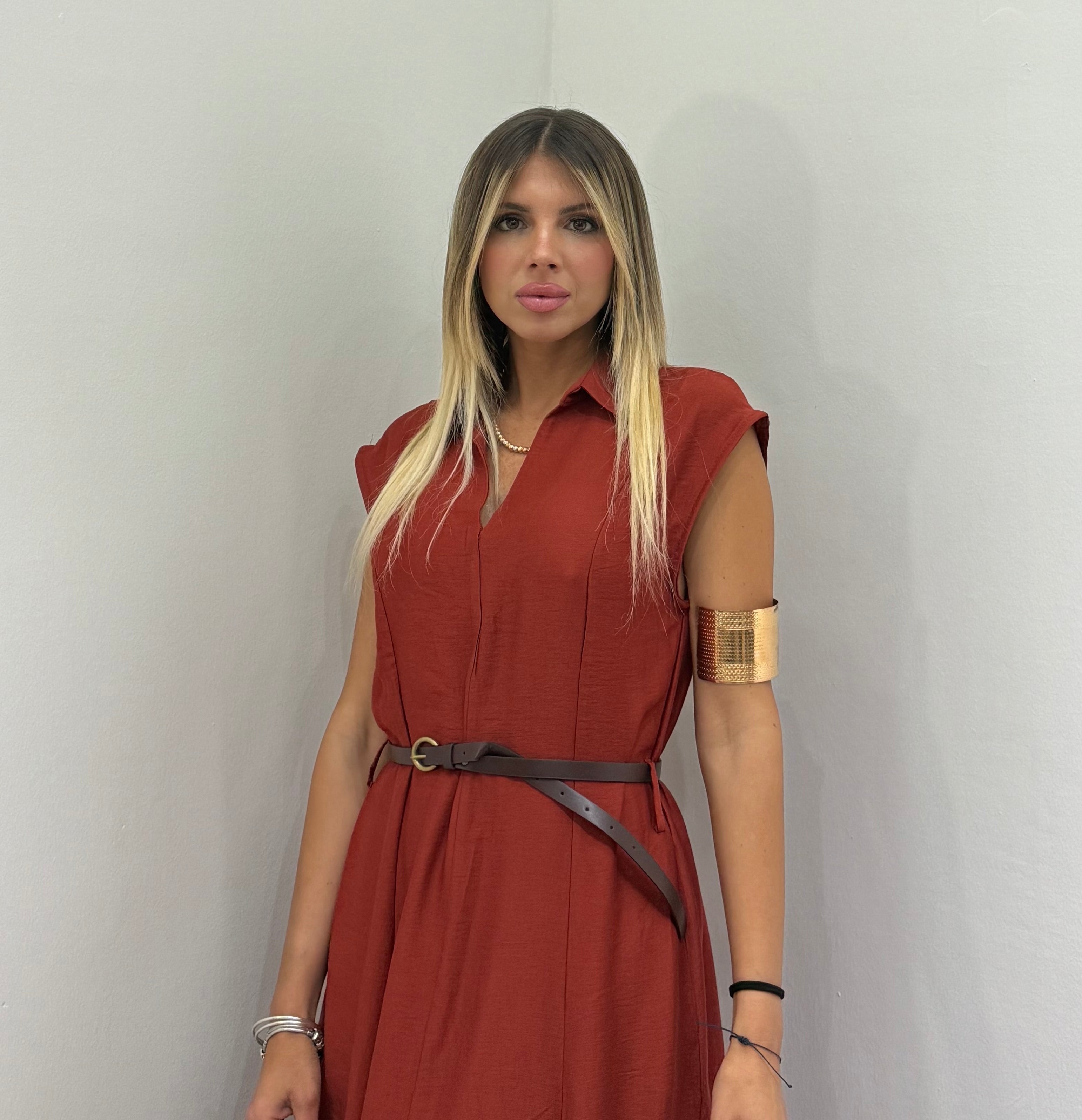 Dress Chemisier
