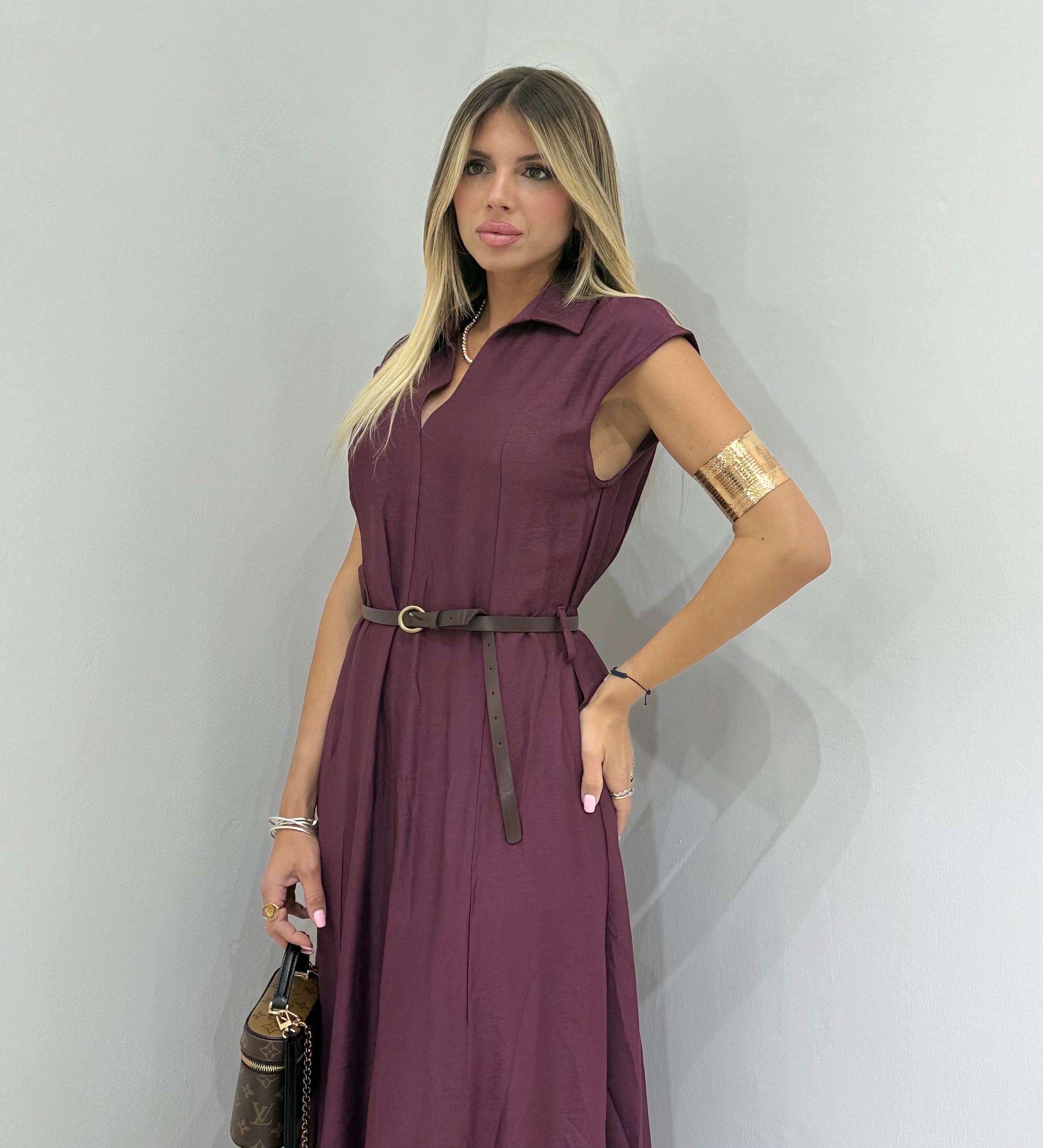 Dress Chemisier